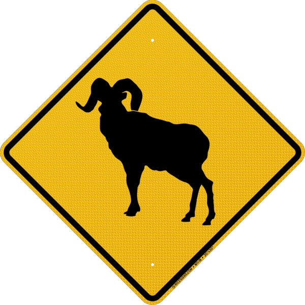Bighorn Sheep Sign