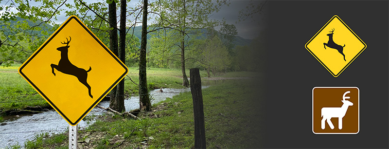 Deer crossing image