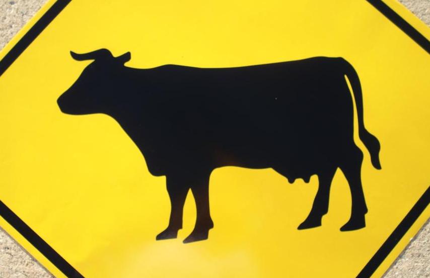 Up-close picture of our Cattle Crossing road sign