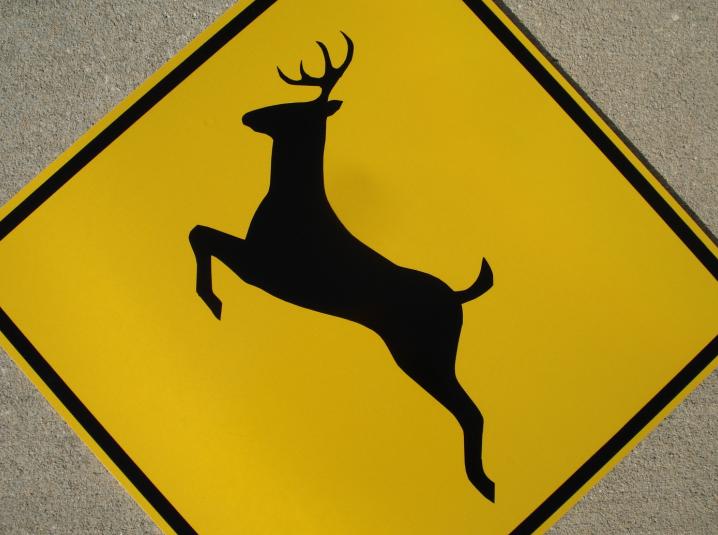 This up-close pictures shows the deer symbol on our deer crossing road sign. 
