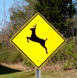 Pictured: A 24"x24" Reflective Deer Crossing Sign (Post sold separately).