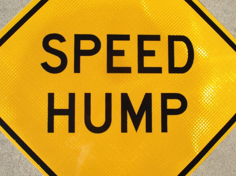 Up-close photo of our Speed Hump street sign.